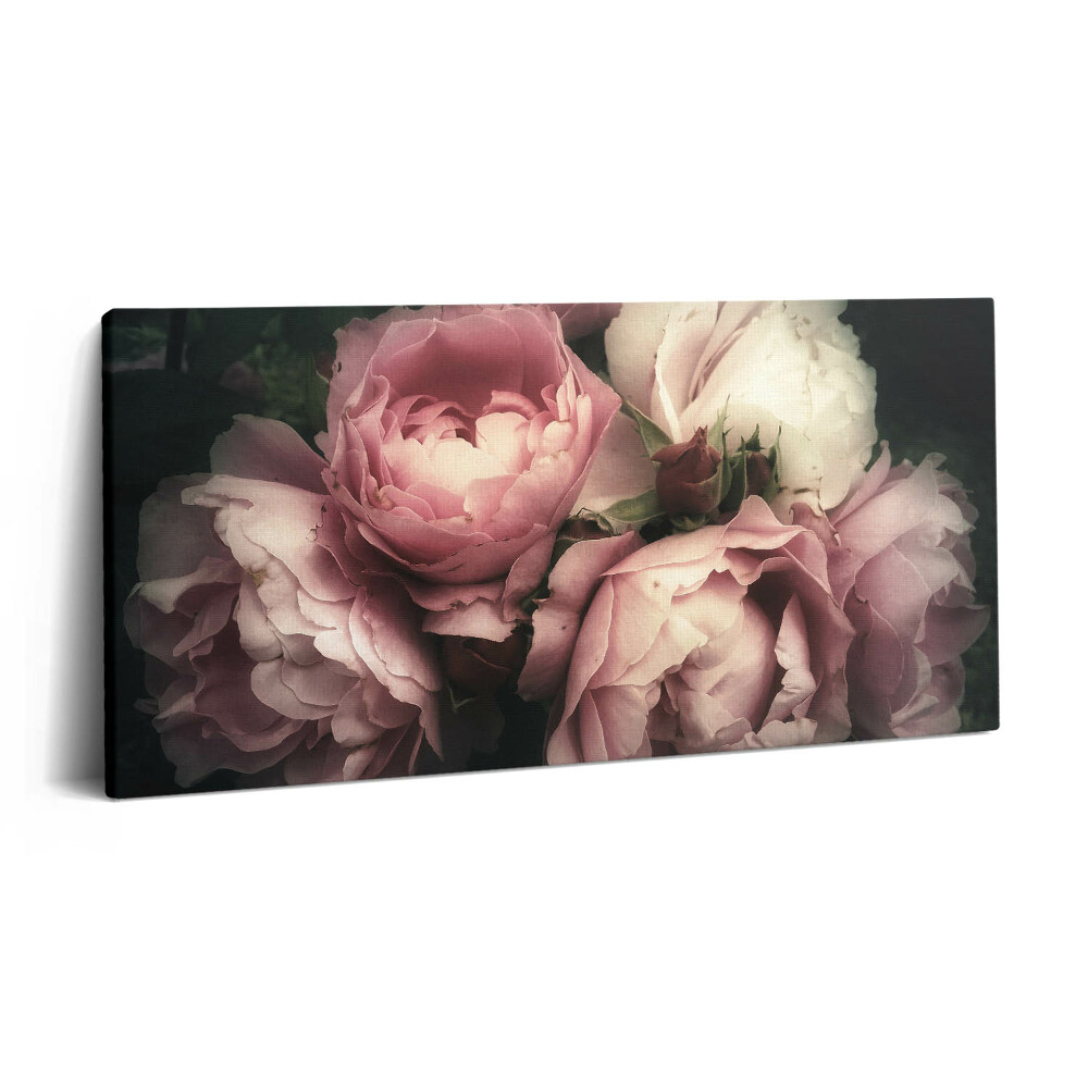 Obraz na plátně 140x70 Kytice starorůžových růží