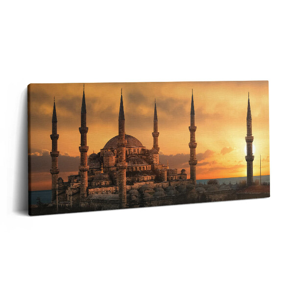 Obraz z fotografie na plátně 140x70 cm Mešita v Istanbulu