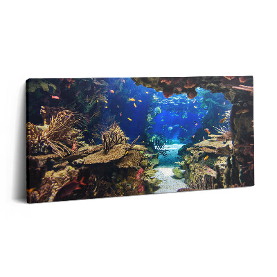 Obraz na plátně 140x70 Akvárium