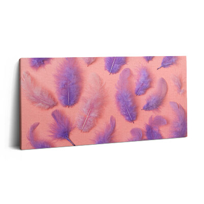 Obraz na plátně 140x70 Barevné peří