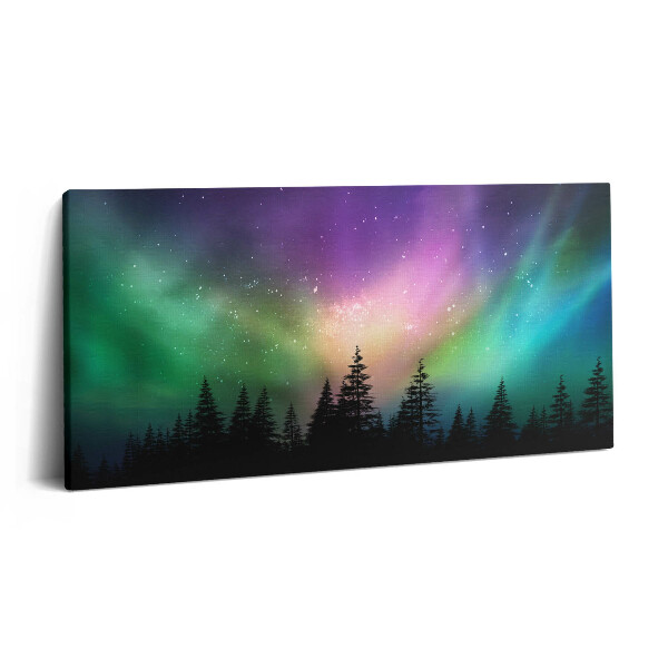 Obraz z fotografie na plátně 140x70 cm Polární záře