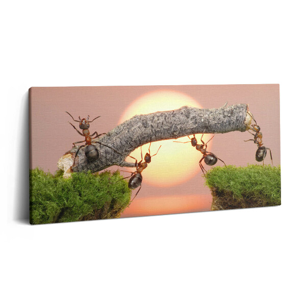 Obraz canvas 140x70 cm Mravenci na kmeni stromu