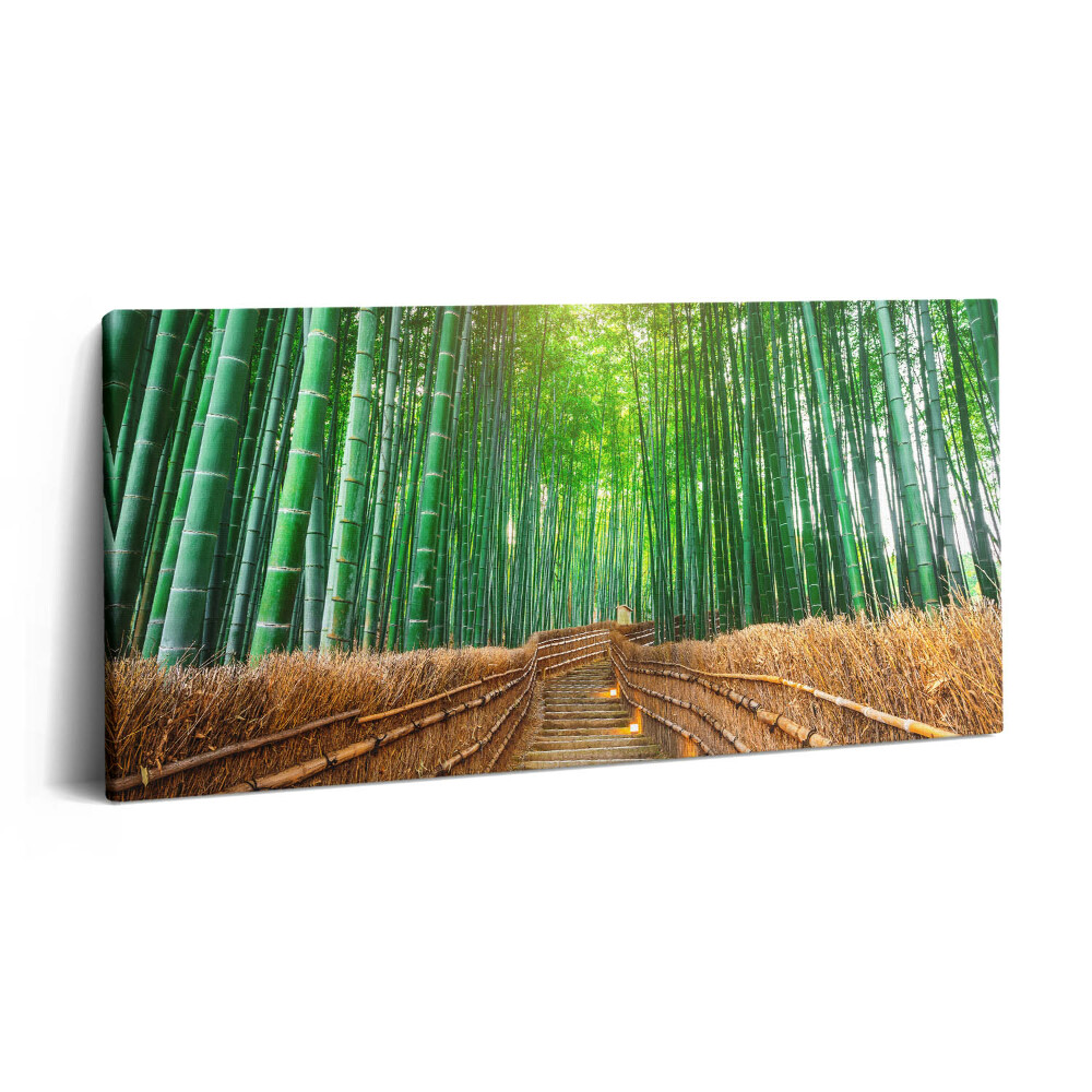 Obraz na plátně 140x70 Cesta v bambusovém lese