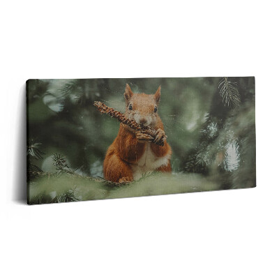 Obraz z fotografie na plátně 140x70 cm Volně žijící veverka