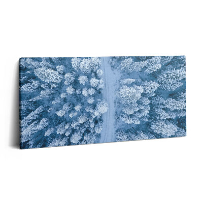 Obraz na plátně 140x70 Les z ptačí perspektivy. Drony