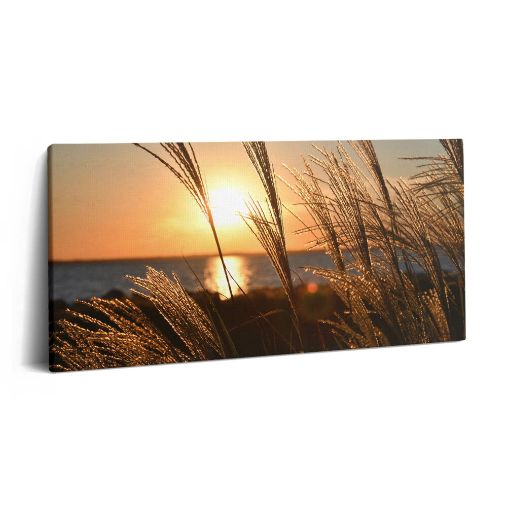 Obraz z fotografie na plátně 140x70 cm Pšenice ve zlaté hodině