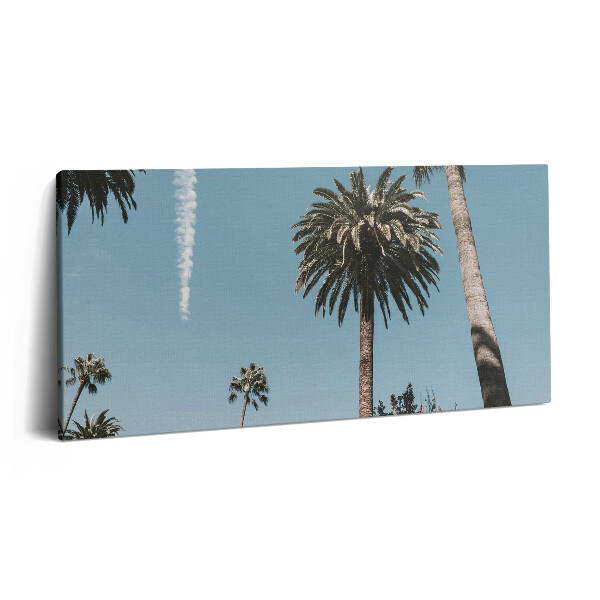 Obraz na plátně 140x70 Palmy v Los Angeles