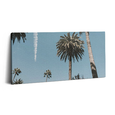Obraz na plátně 140x70 Palmy v Los Angeles