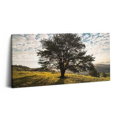 Obraz canvas 140x70 cm Listnatý strom na kopci