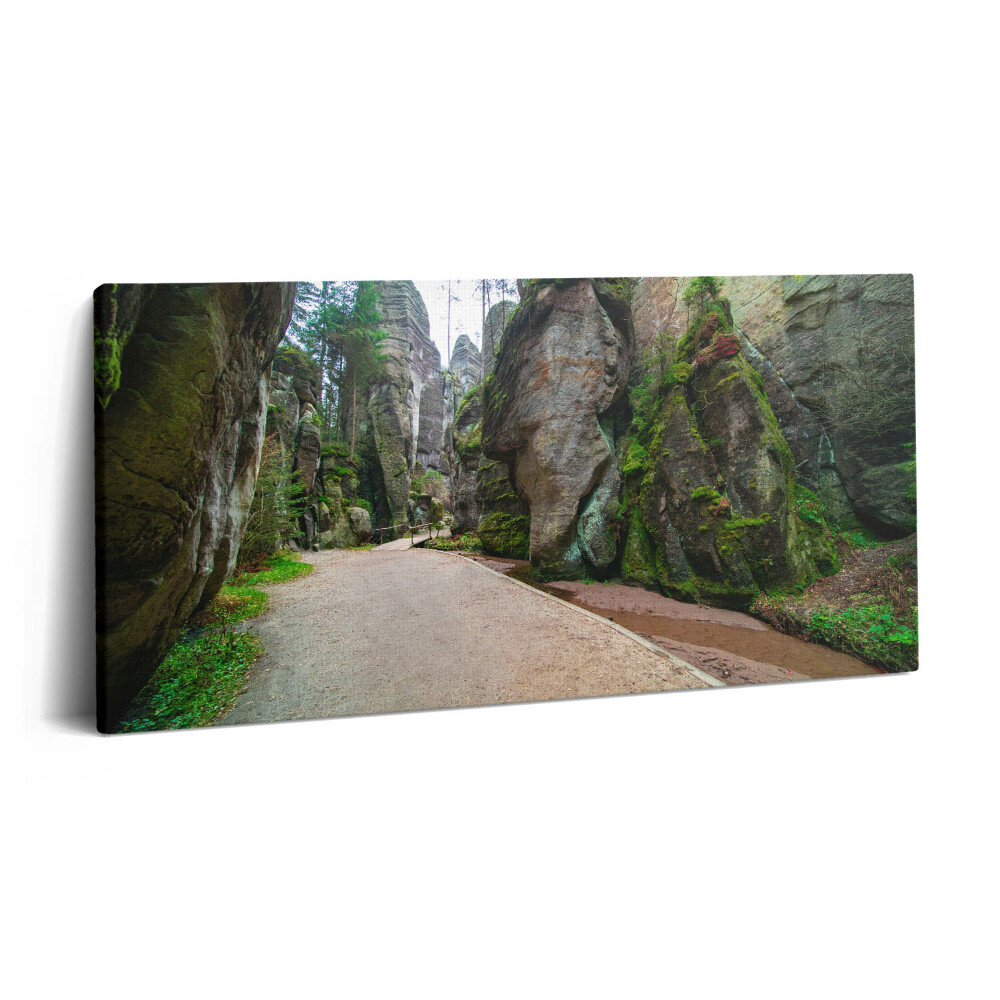 Obraz z fotografie na plátně 140x70 cm Skalní město v České republice