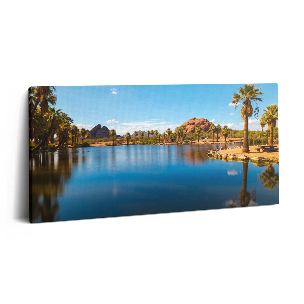 Obraz z fotografie na plátně 140x70 cm Krajina parku Papago