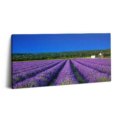Obraz z fotografie na plátně 140x70 cm Levandulové pole v Provence
