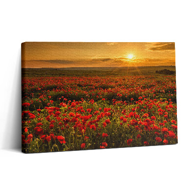 Obraz na plátně 30x20 Krajina s máky na louce