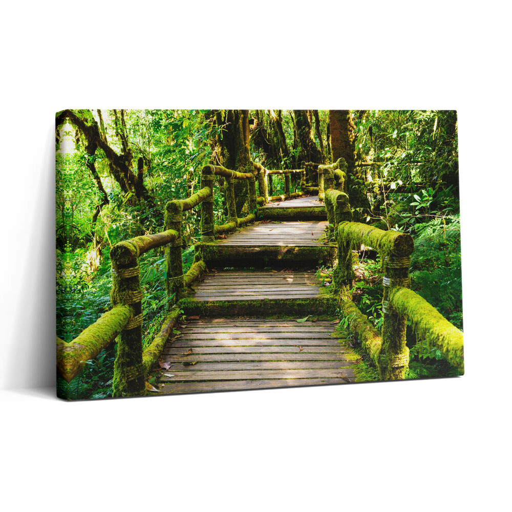 Obraz z fotografie na plátně 30x20 Dřevěná lávka - agroturistika