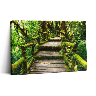 Obraz z fotografie na plátně 30x20 Dřevěná lávka - agroturistika