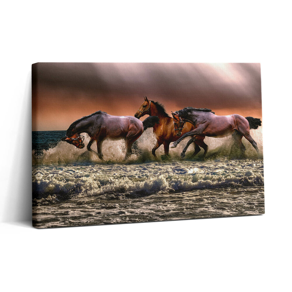 Obraz z fotografie na plátně 30x20 Koně spadlí do vody