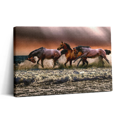 Obraz z fotografie na plátně 30x20 Koně spadlí do vody