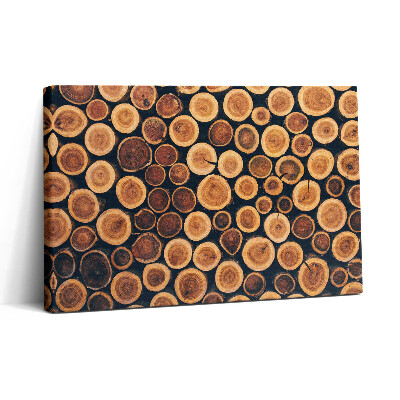 Obraz na plátně 30x20 Dřevěné kmeny stromů