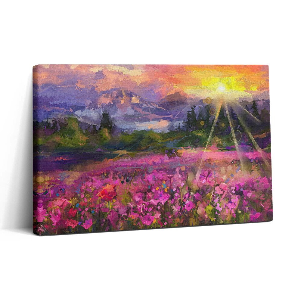 Obraz na plátně 30x20 Louka při západu slunce