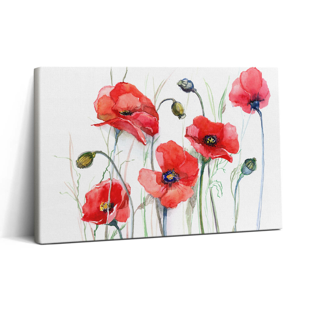 Obraz na plátně 30x20 Umělecká malba - červené vlčí máky