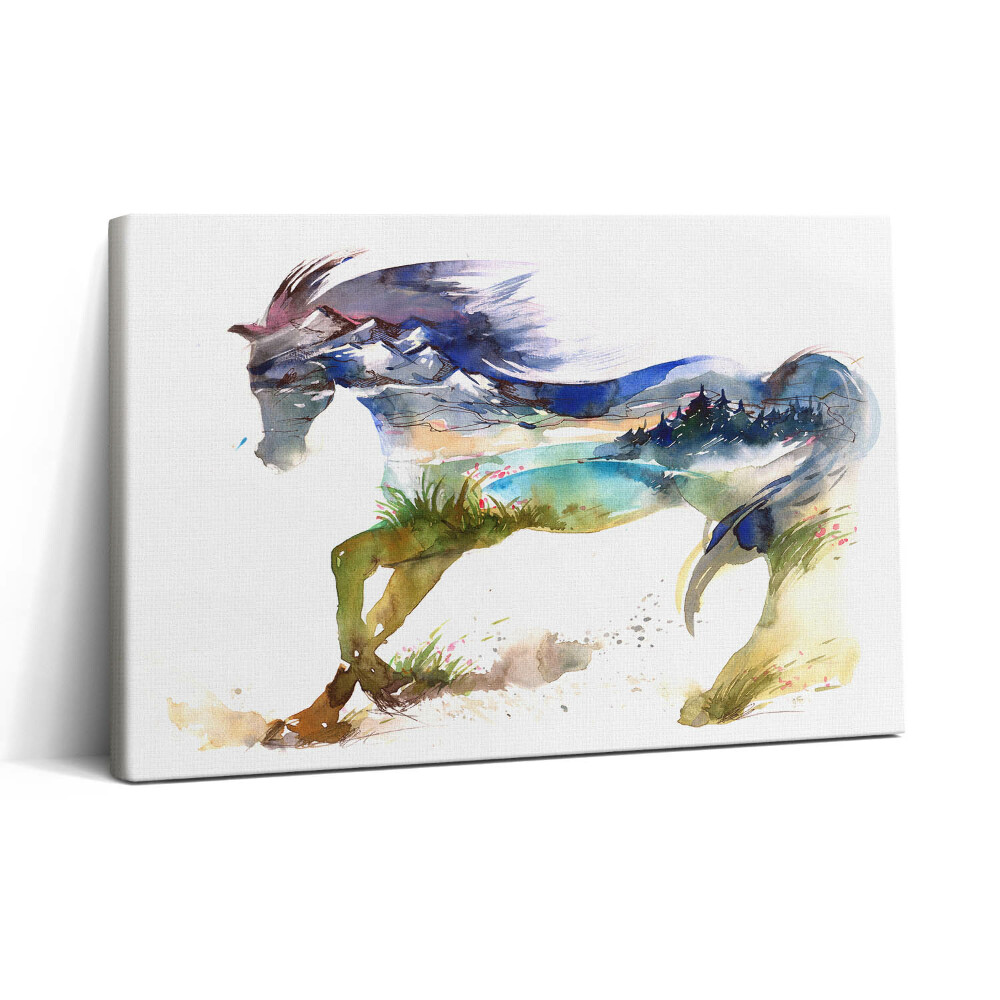 Obraz na plátně 30x20 Kůň a malovaná krajina