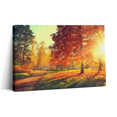 Obraz na plátně 30x20 Podzimní park