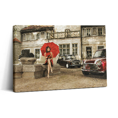 Obraz na plátně 30x20 Stará školní auta