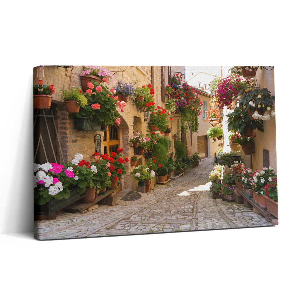 Obraz na plátně 30x20 Alej s květinami