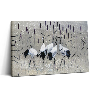 Obraz na plátně 30x20 Rákosoví jeřábi