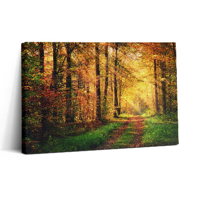 Obraz canvas 30x20 Podzimní krajina lesa