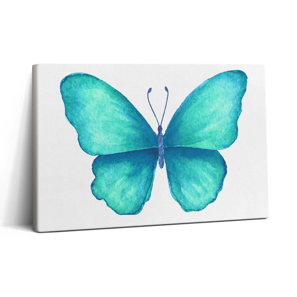 Obraz canvas 30x20 Tyrkysový letní motýl