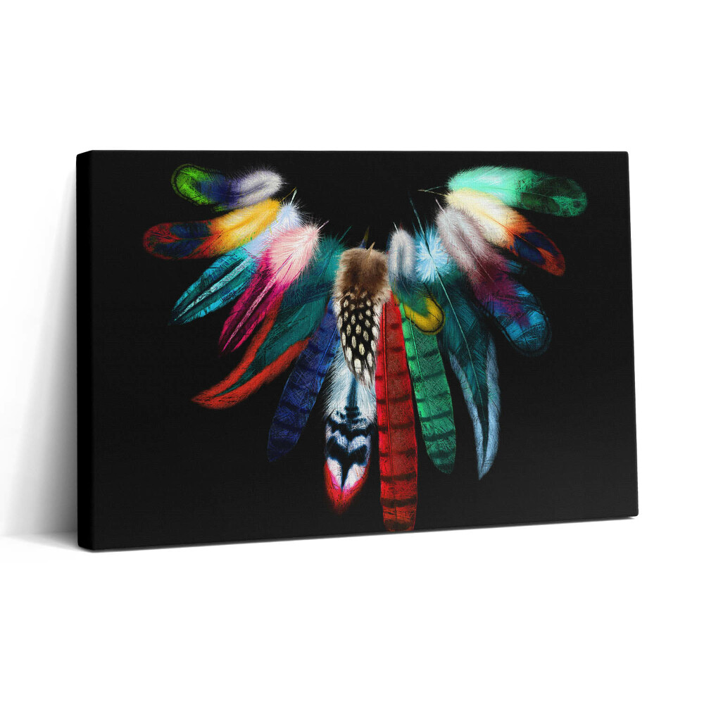 Obraz canvas 30x20 Barevná ptačí pera