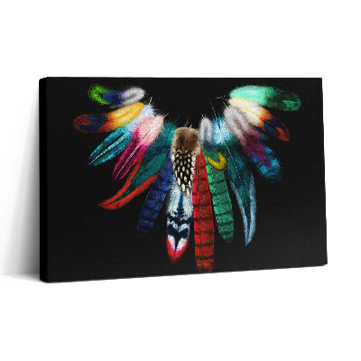 Obraz canvas 30x20 Barevná ptačí pera