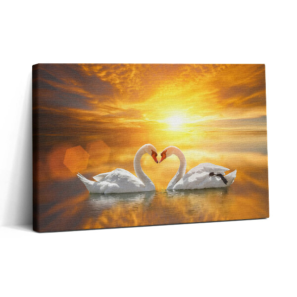Obraz canvas 30x20 Zamilované labutě