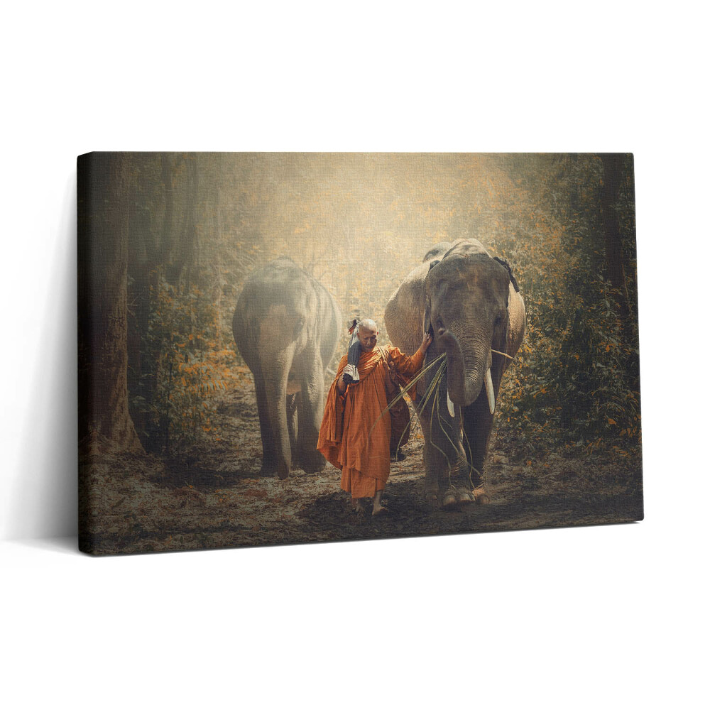 Obraz canvas 30x20 Mnich a sloni