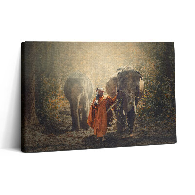 Obraz canvas 30x20 Mnich a sloni