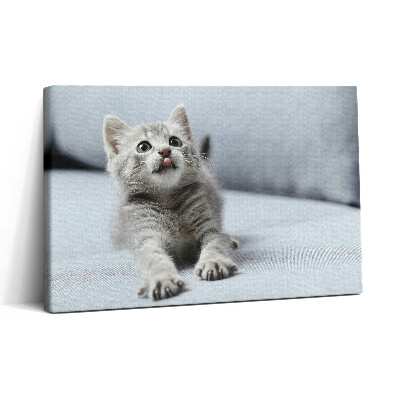 Obraz na plátně 30x20 Roztomilé kotě na pohovce