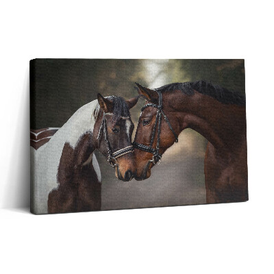 Obraz canvas 30x20 Portrét koní v lese