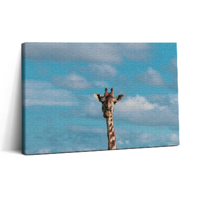 Obraz canvas 30x20 Hlava žirafy na obloze