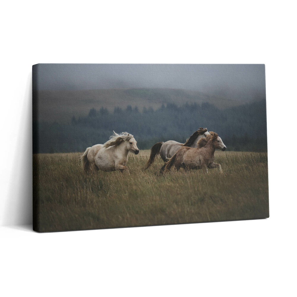 Obraz canvas 30x20 Koně cválající do kopce
