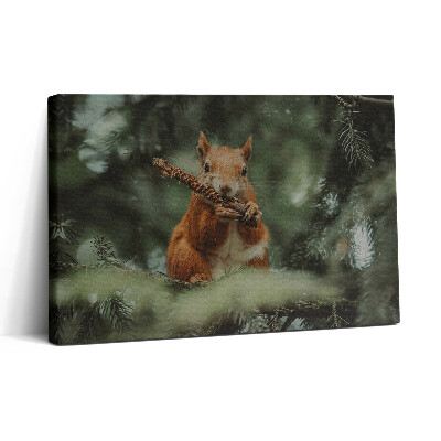 Obraz canvas 30x20 Volně žijící veverka