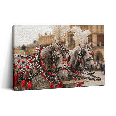 Obraz na plátně 30x20 Krásní koně v Krakově