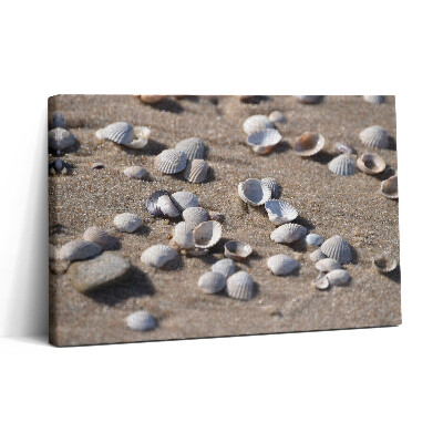 Obraz na plátně 30x20 Mušle na pláži