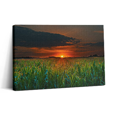 Obraz canvas 30x20 Slunečnice na louce