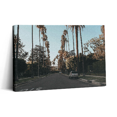 Obraz canvas 30x20 Vozidlo na silnici mezi stromy