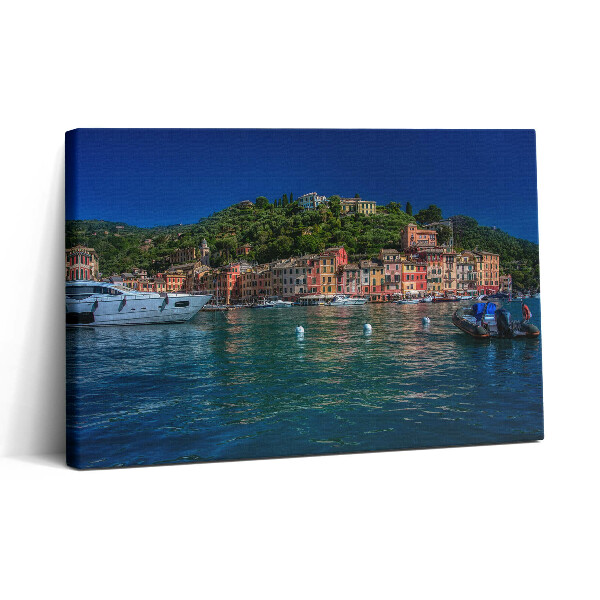 Obraz canvas 30x20 Lodě plující v Portofinu