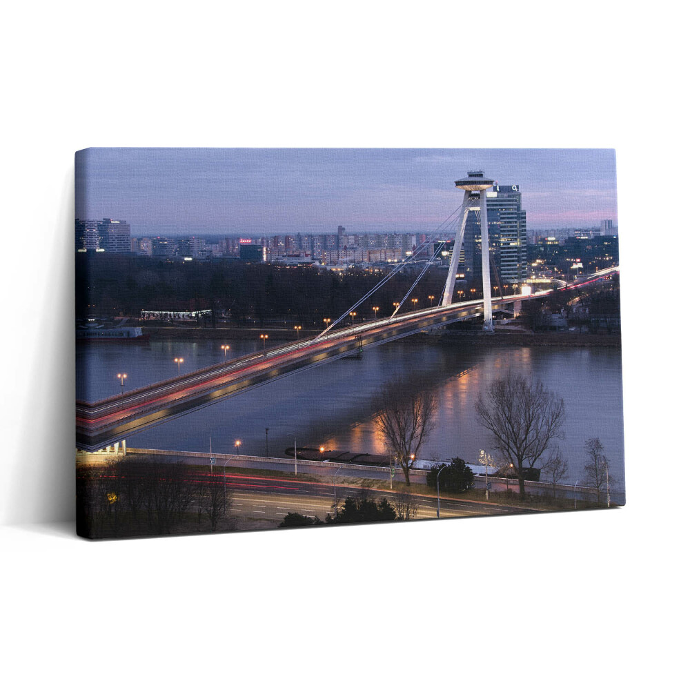 Obraz canvas 30x20 Most UFO přes Dunaj v Bratislavě