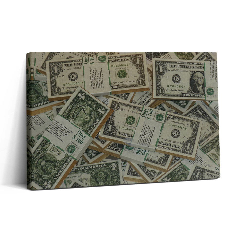 Obraz canvas 30x20 1 americký dolar