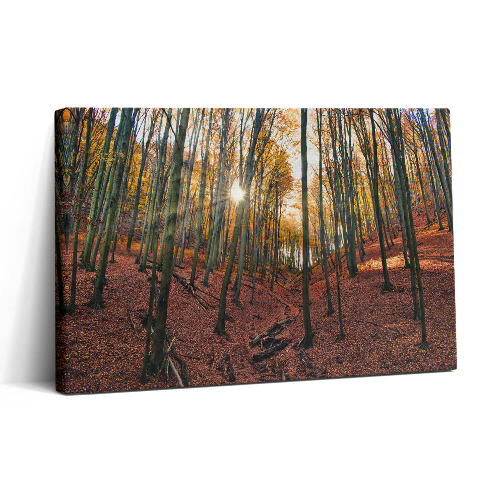 Obraz canvas 30x20 Západ slunce a stromy