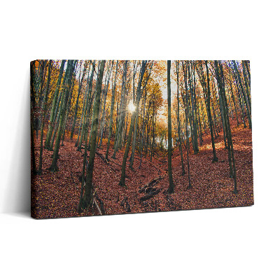 Obraz canvas 30x20 Západ slunce a stromy